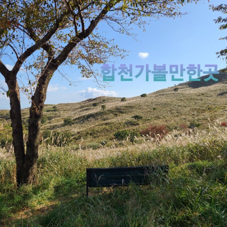  <경남여행> 경남 가볼만한곳 ; 합천 황매산 억새 가을여행