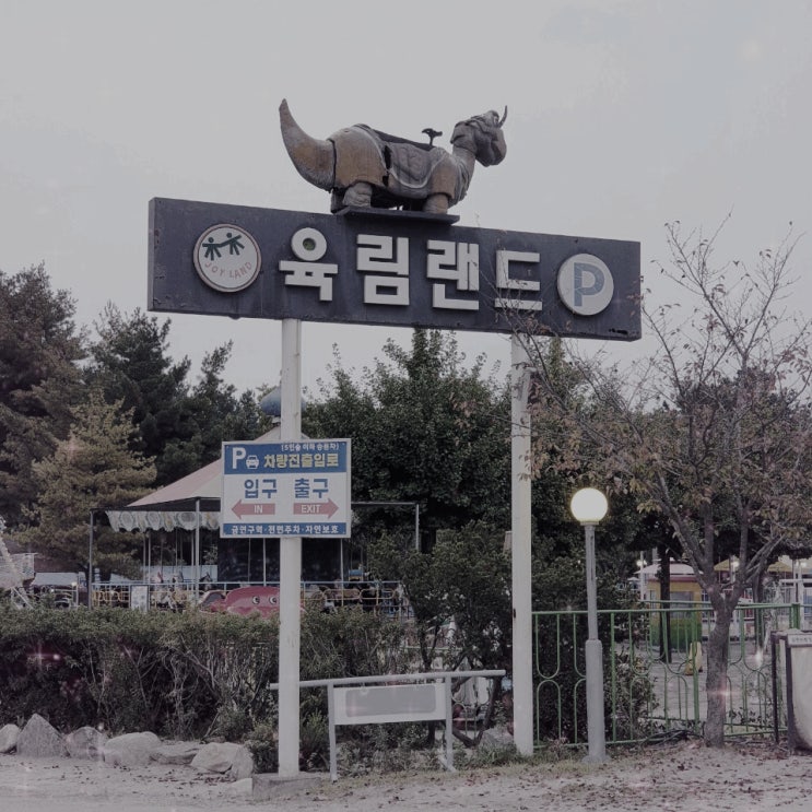  춘천 여행 중 우연히 가게 된, 아이와 가볼 만한 곳!  육림랜드(동물원& 놀이기구 공원)