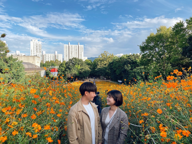  2020 올림픽공원 들꽃마루 코스모스길, 10월 꽃구경,꽃놀이 하기 좋은곳, 들꽃마루 가는법