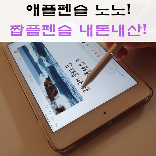  애플 펜슬은 비싸다. 보급형 짭플펜슬 내돈내산 후기.