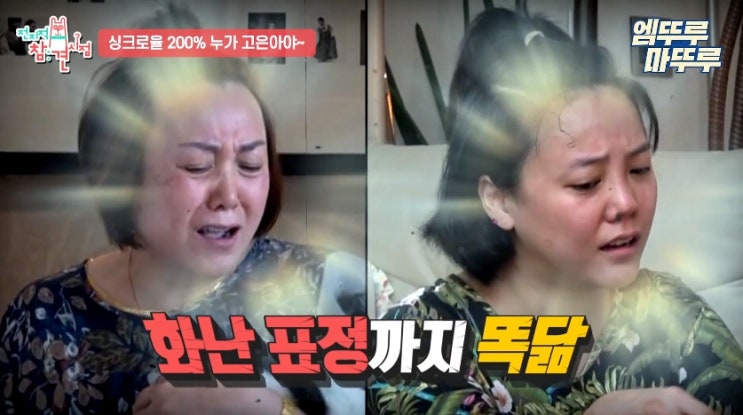  전지적 참견 시점 재방송 고은아 도플갱어 엄마 등장