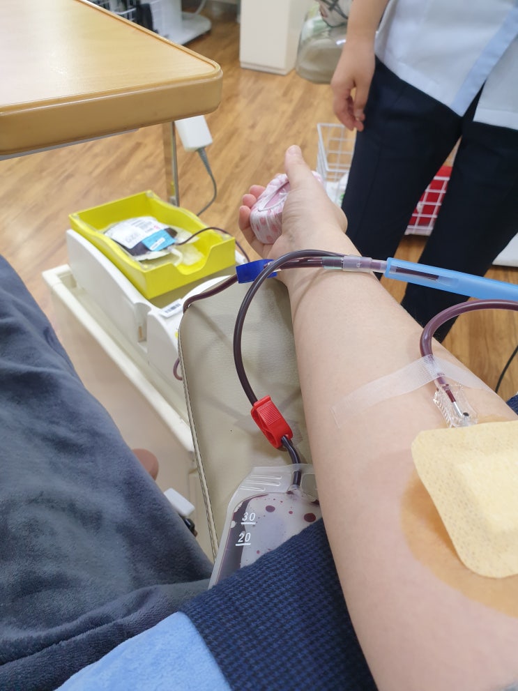춘천 명동센터 헌혈의집 18번째 헌혈-지정헌혈