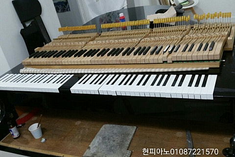 현피아노사 이미지