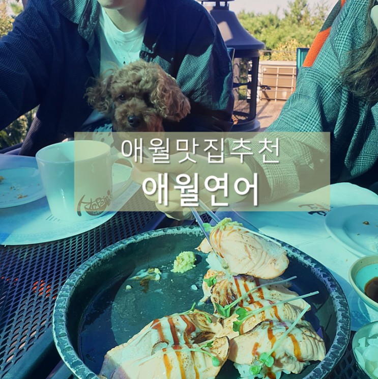  제주연어맛집 / 애월연어 : 초밥 파스타 너무 맛있는 애월읍 맛집추천