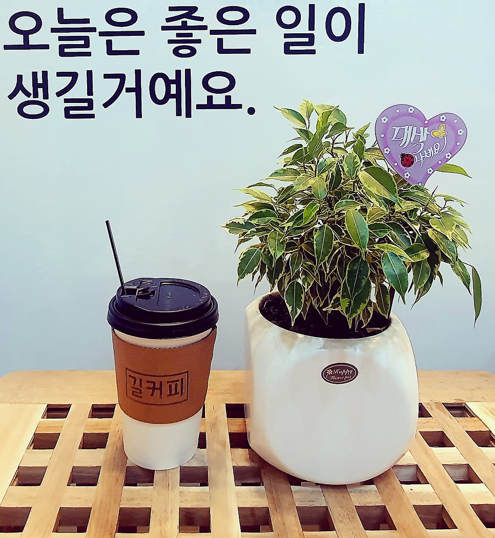 길커피 사진 6