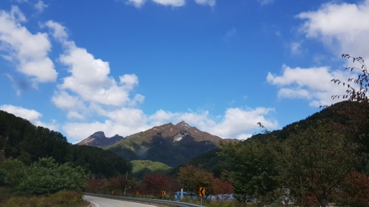  벌써 황금들판 지나 며느리고개 넘어 설악산 단풍