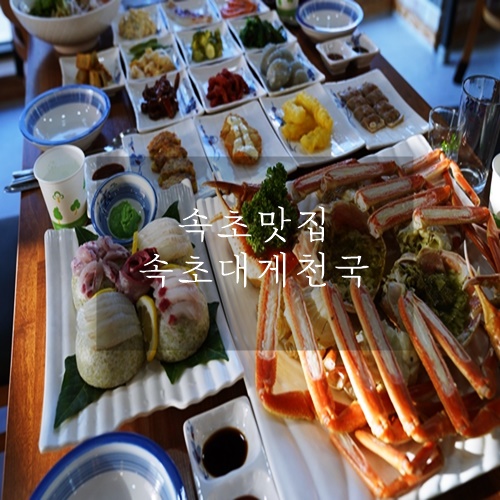  속초 맛집 속초 홍게 무한리필 속초 대게천국