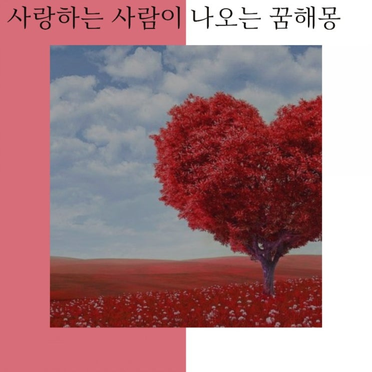 사랑하는 사람이 나오는 꿈 해몽을  알아볼까요?