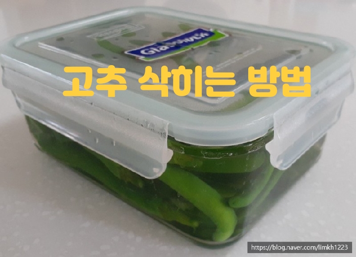  삭힌 고추 만들어 겨울 동치미 할 준비를 마치다...고추삭히는법