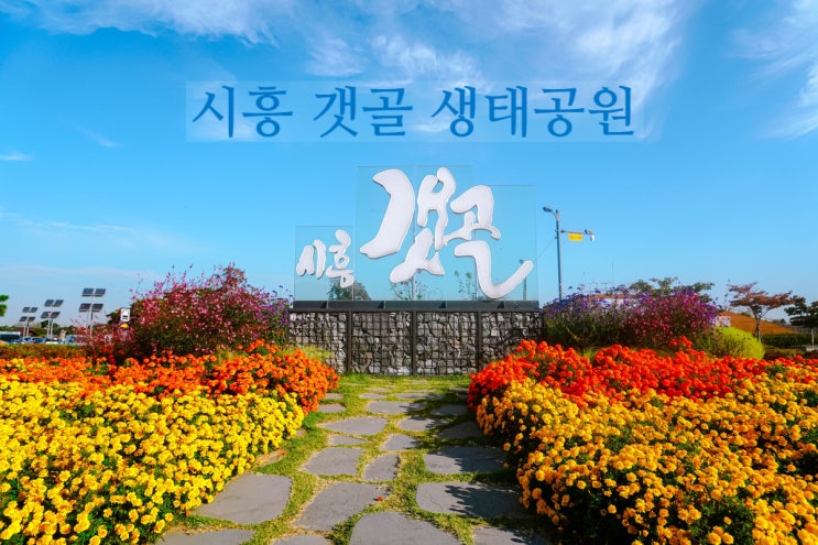  서울근교 가을과 자연을 느끼는 곳  - 시흥갯골생태공원