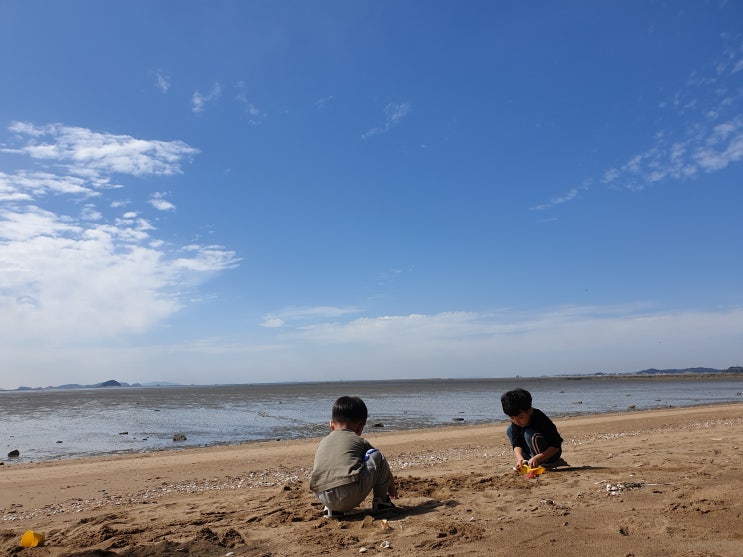 궁평리해수욕장 / 궁평해송군락지 아이들과 다녀오기 좋아요