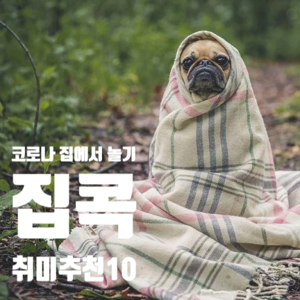  코로나 집에서 할 만한 것, 집순이 취미추천 상중하