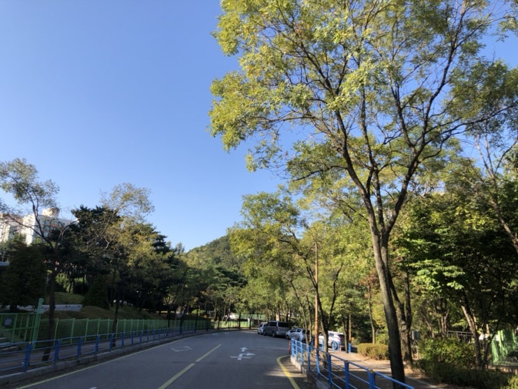  해가 서쪽에서 떴나요 (워킹맘의 평소와 다른 주말)