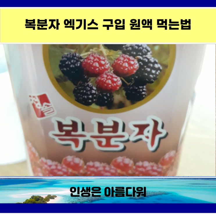  복분자엑기스 구입 원액 먹는법