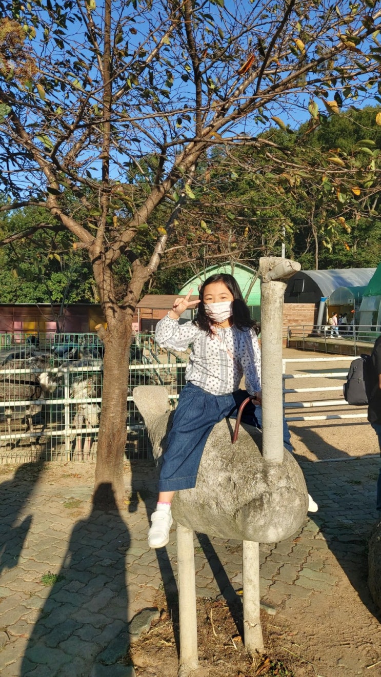 7세아이와 함께 다양한 체험하는 곳 서울근교 타조농장