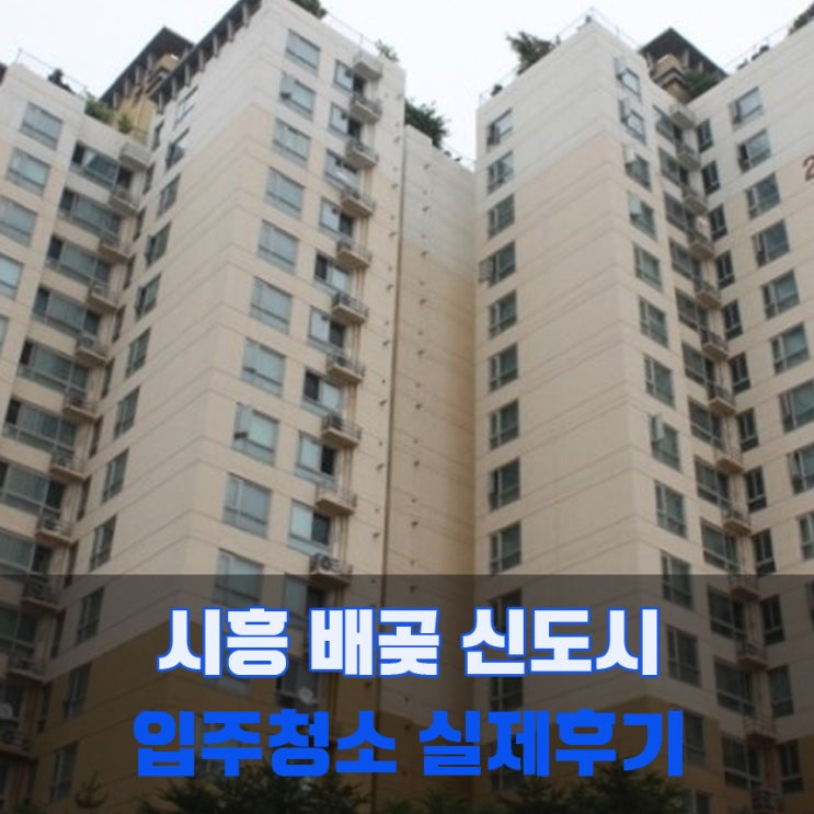  시흥입주청소 배곶신도시 실제후기