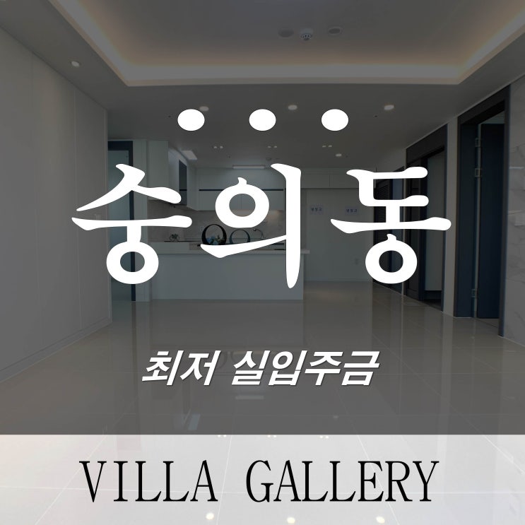  인천 미추홀구 숭의동 신축빌라 미추홀퍼스트 대리석 바닥이 이뻐요