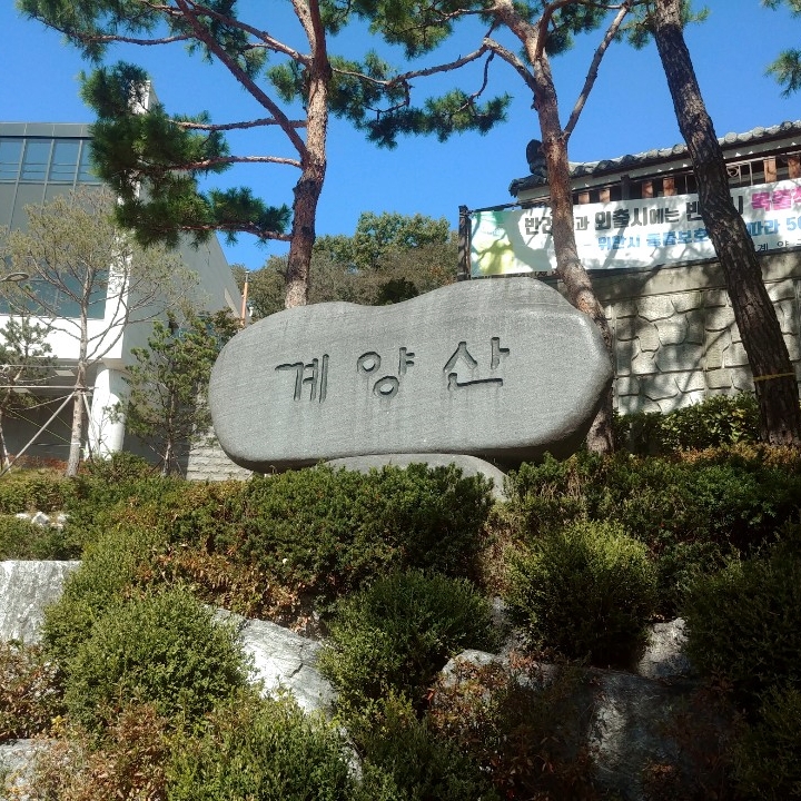 계양산 등산 일기 및 코스 소개(로미&모카신난다)