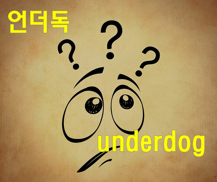 언더독 뜻  언더독 효과  정확히 알아보겠습니다.