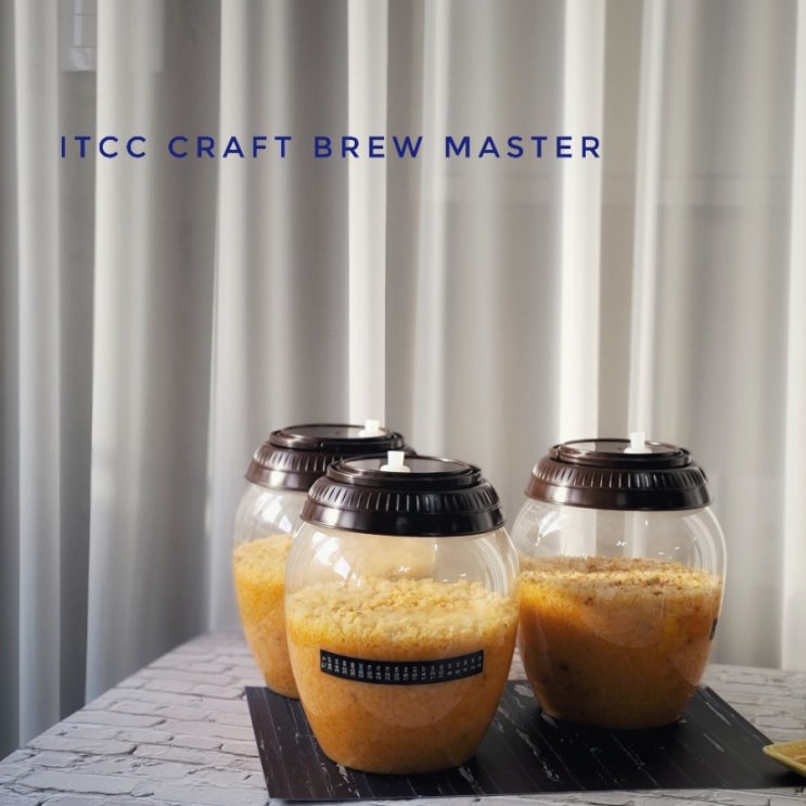 ITCC 발효자격증 귤막걸리 빚기