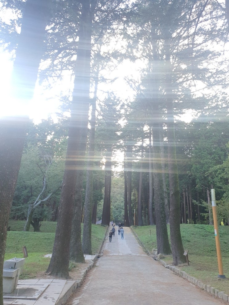  [양산] 법기수원지