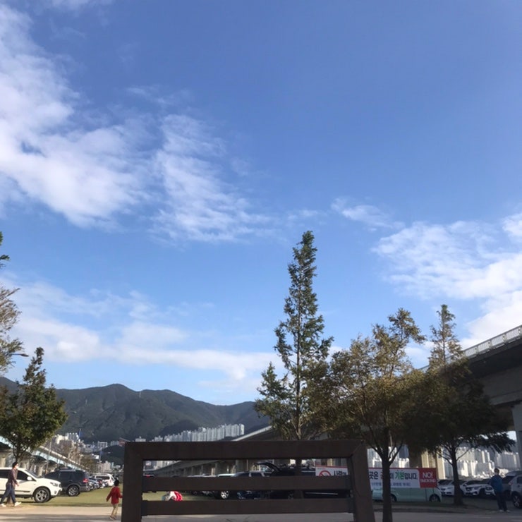 사진 4
