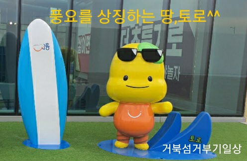 시화거북섬 MTV거북섬 버스운행28번,29번MTV노선 시화거북섬 MTV거북섬 버스운행28번,29번MTV노선