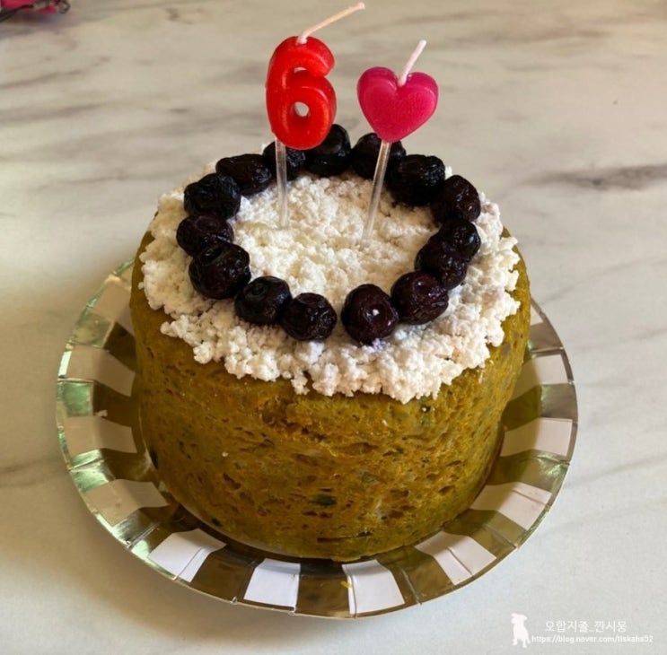  강아지 케이크 만들기 우리집 막내 시돌이 6번째 생일 축하해