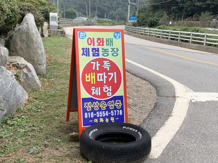  이화농원 배따기 체험   서울근교 가볼만한 곳