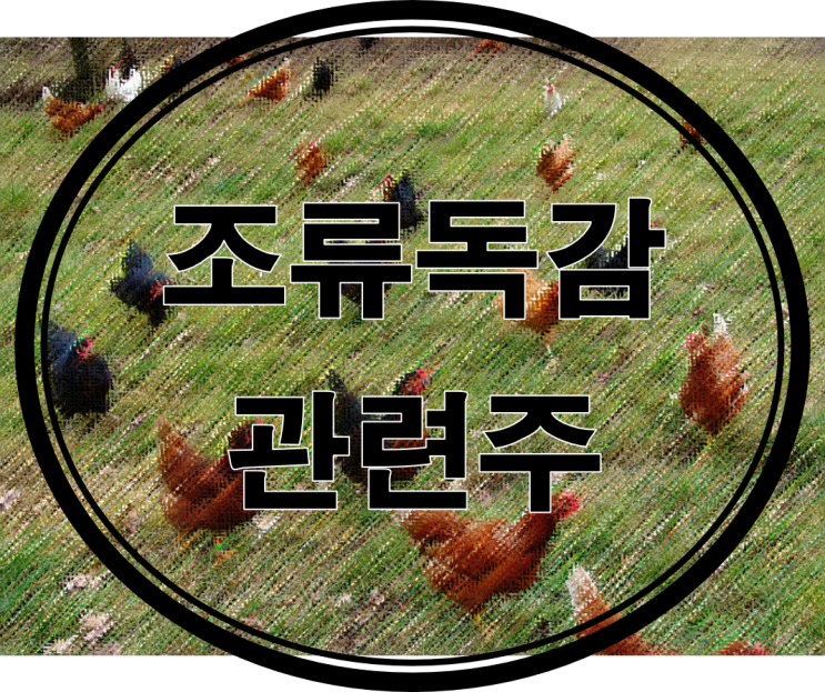 조류독감 관련주 총 정리!