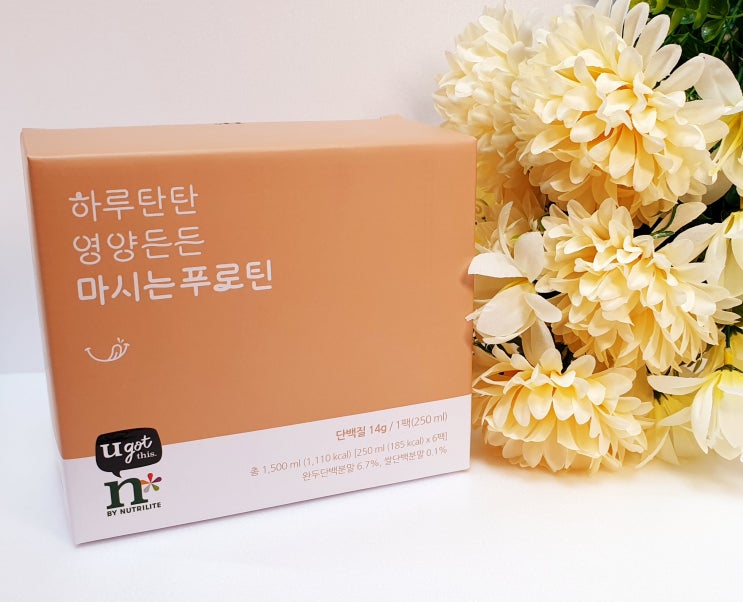  n by Nutrilite 하루탄탄 영양든든 마시는푸로틴(단백질, 단백질보충)