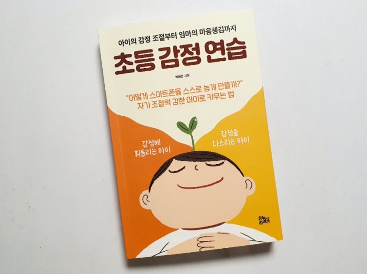  [서평]초등 감정 연습 | 아이의 감정 조절부터 엄마의 마음챙김까지 | 박태연