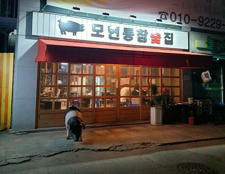  이베리코맛집 모현동참숯집, 익산고기맛집, 모현동맛집으로 추천!!