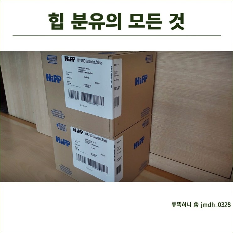  내가 아는 힙분유의 모든것  (추천개월수, 가격, 타는법)