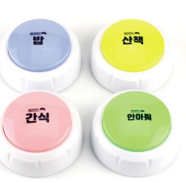  반려견의 의사 표현을 훈련시키는 리스펫 말하는 강아지