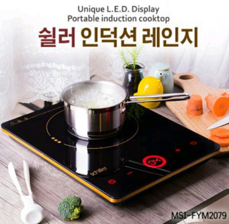  친환경! 쉴러 인덕션레인지 강추!