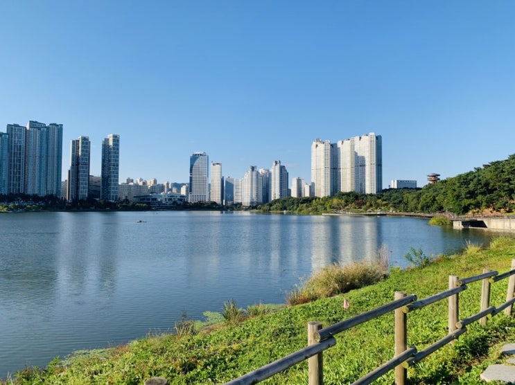  주말 수원 광교호수공원에서 산책