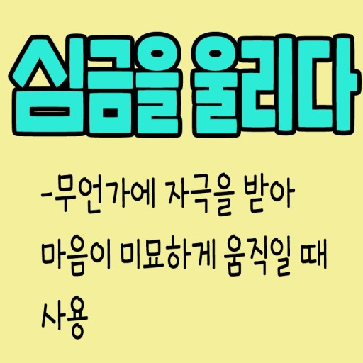 心琴(심금)을 울리다. 心琴(심금)을 울리다.