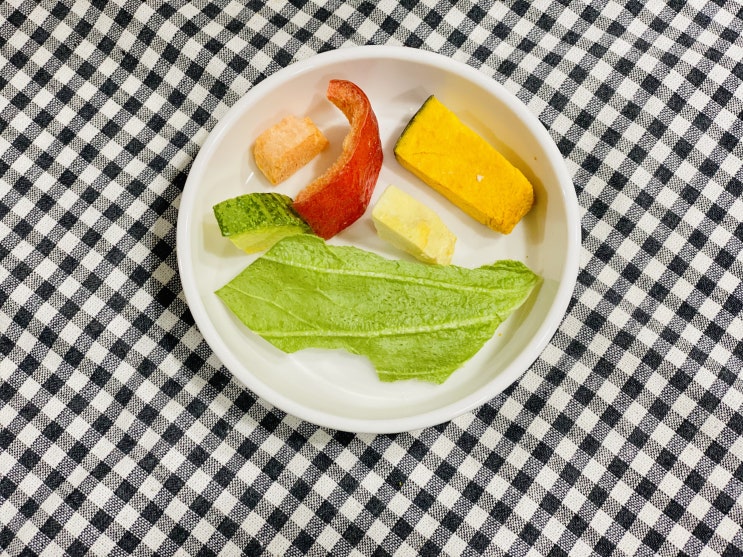  강아지 간식 추천 동결건조 채소 간식 베지칩스 도란도란 후기