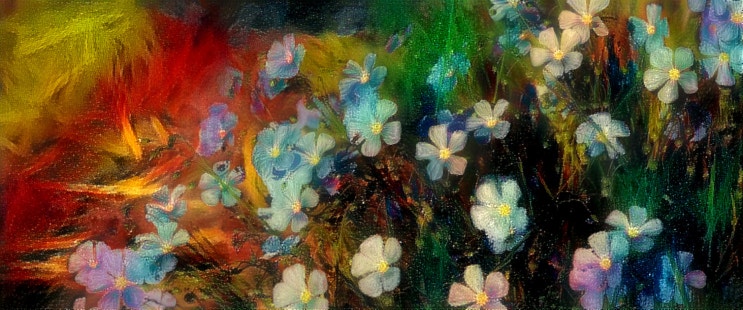 2011.09.코스모스 화원 #626, 남이,남인우,교수 이력서,화가,그림,미술,대학교수,일러스트,이미지,추천,바탕화면,배경화면,화백,학자,연구인,교육인,작가,연구학술인,아이폰,겔럭시,서양화,여행,풍경,고화질,사진,화가이름,유명한화가,국내화가,자연,도시 2011.09.코스모스 화원 #626, 남이,남인우,교수 이력서,화가,그림,미술,대학교수,일러스트,이미지,추천,바탕화면,배경화면,화백,학자,연구인,교육인,작가,연구학술인,아이폰,겔럭시,서양화,여행,풍경,고화질,사진,화가이름,유명한화가,국내화가,자연,도시