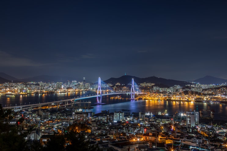  부산항대교 영도 야경을 볼 수 있는 청학배수지 전망대