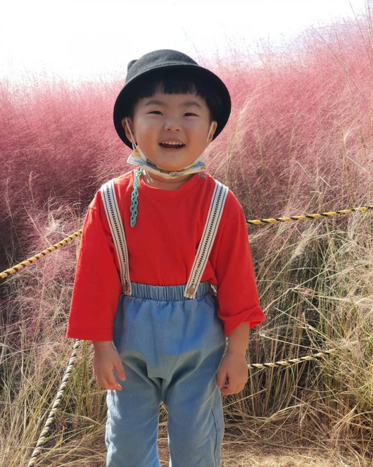  핑크뮬리로 가득한 곳 어북실을 다녀왔어요