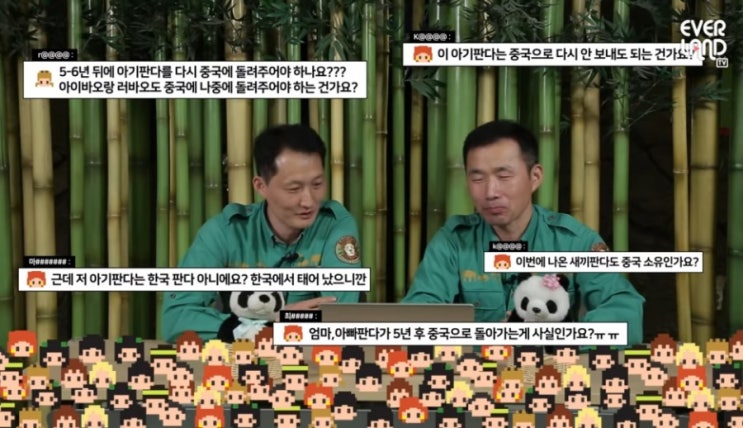  나중에 중국 가야하는 아기 판다...  #강바오 #송바오 #QnA