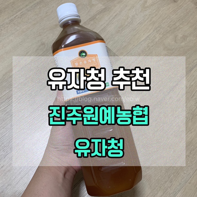  [유자청 추천] 진주원예농협 유자청