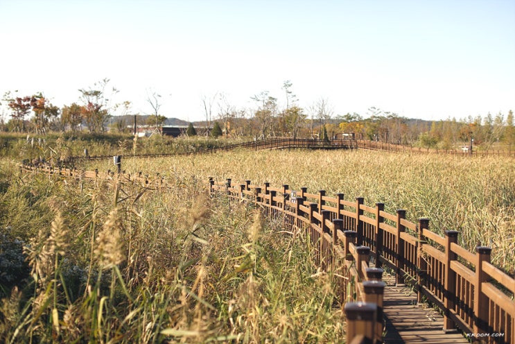 파주 임진각 평화누리공원, 수풀누리공원 산책 파주 임진각 평화누리공원, 수풀누리공원 산책