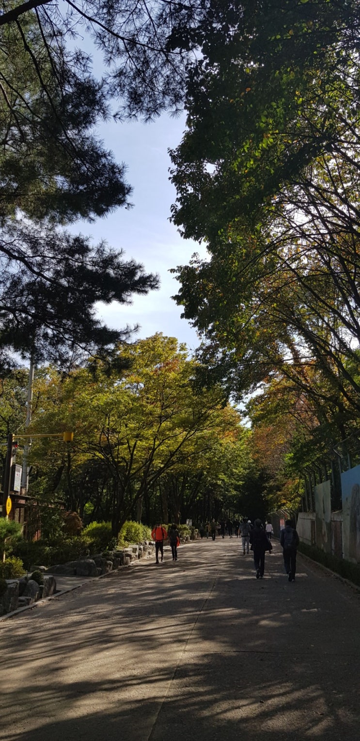  관악산 둘레길
