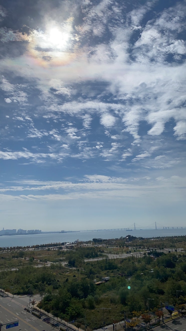  코로나19 확진자 발생 비상사태