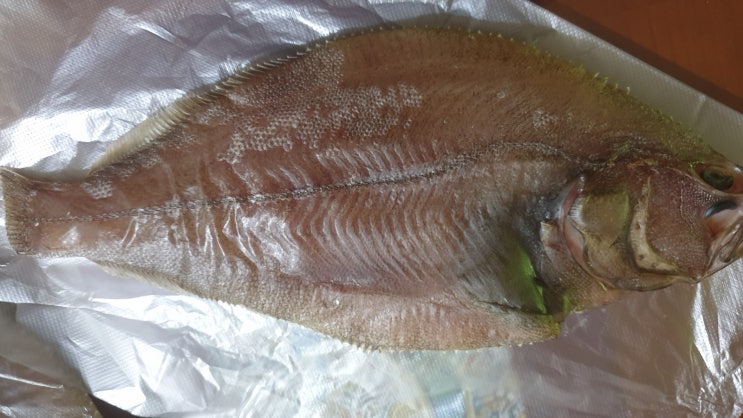  생선을 신선하고 맛있게 보관하여 먹는 방법