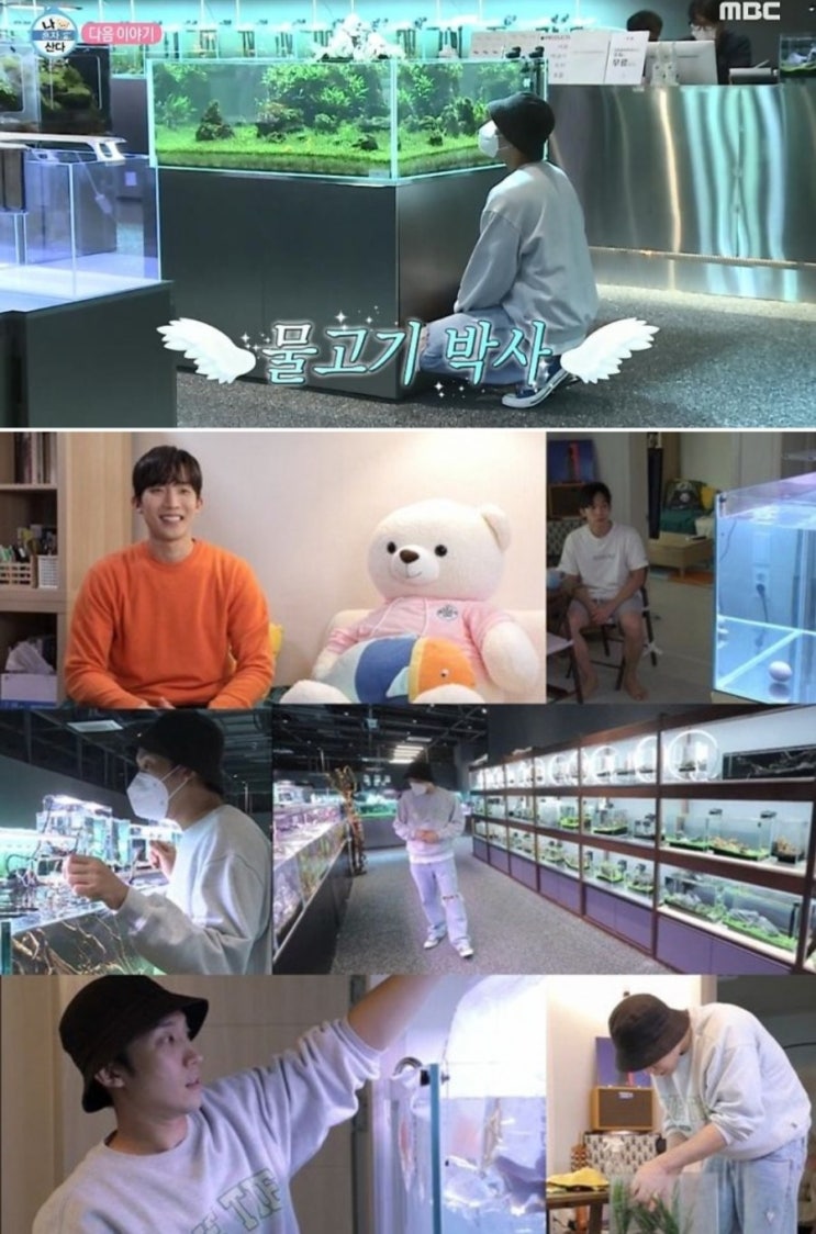  땡구의 물생활 - 아쿠아가든 안산점 다녀왔어요^^