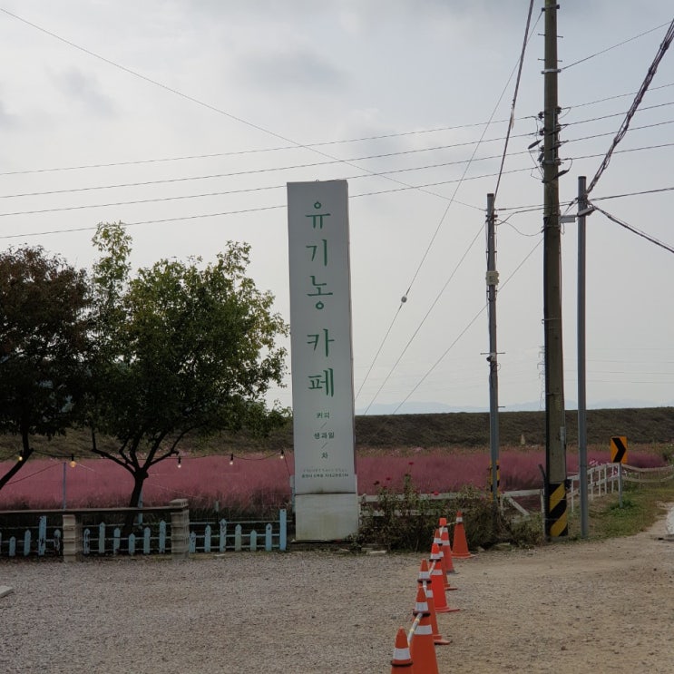  정원에서 힐링 되는 시간 [춘천 유기농 카페]